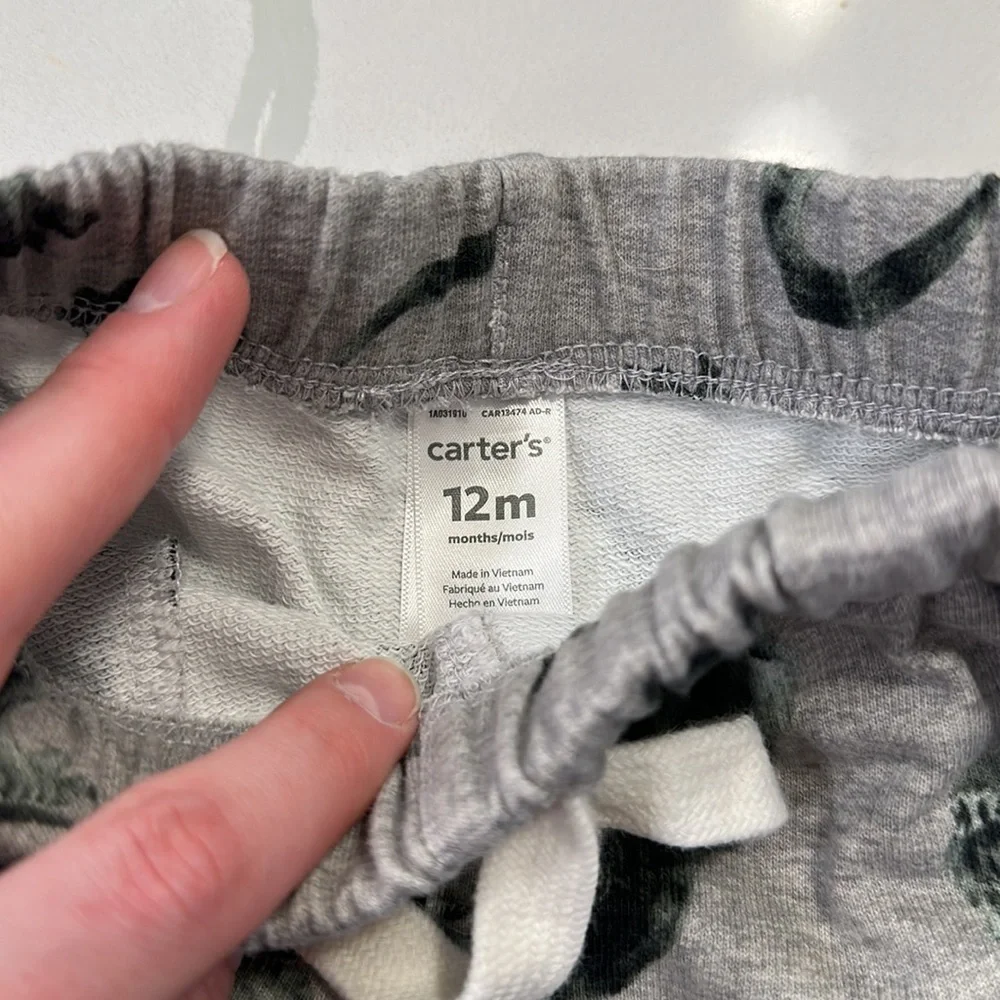 Carter’s gray t-Rex dinosaur jogger sweatpants size 12 months 🦖